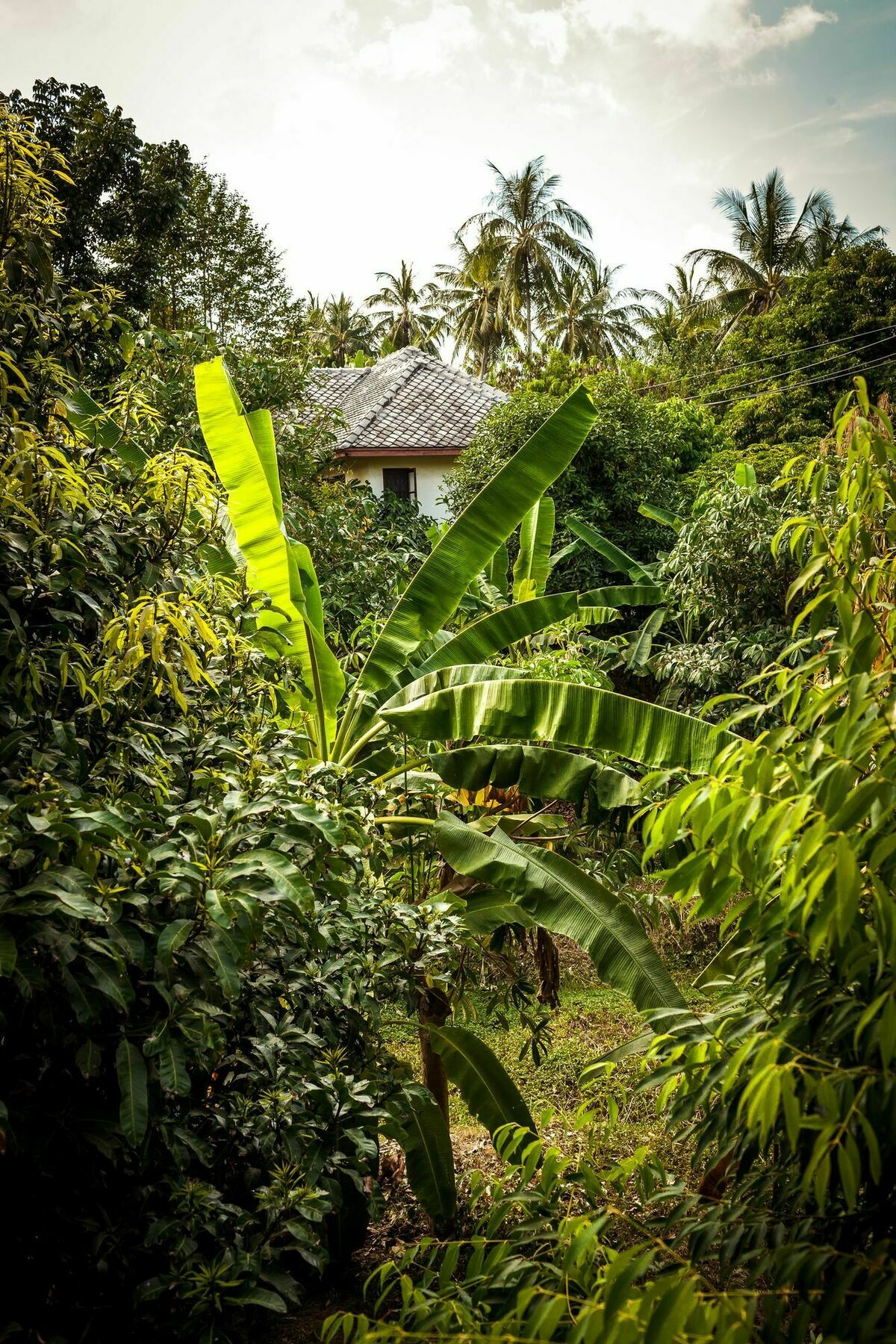 Cashew Nut Village Bophut Esterno foto